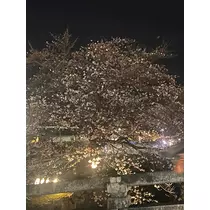花音