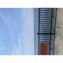 みはる