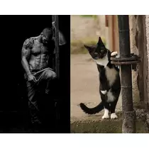 杏奈