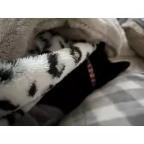 えり