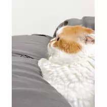れみ
