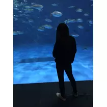 美羽  みう
