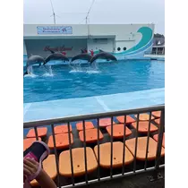 えりか