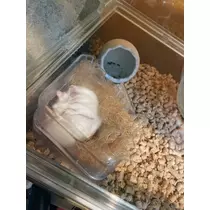 えみり