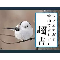 ひな