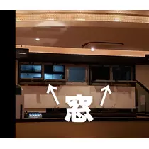 紫音