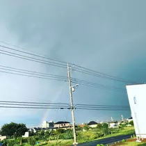 一ノ瀬 春