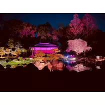 姫花
