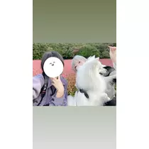 ののか
