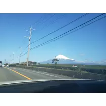 本城 椿