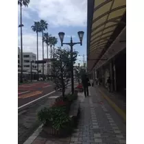 りん