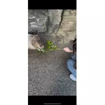 そら