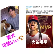 美穂