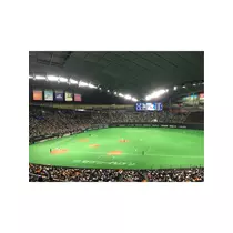 蓮見 リア