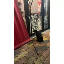 あこ