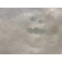 すず