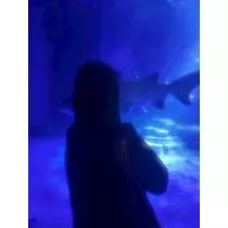 かびるんるんさわ