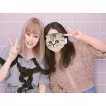 七星 夏純