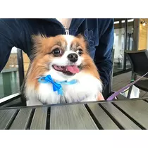 あいら