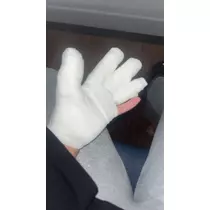 大尻 桃