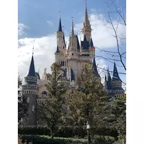 姫花