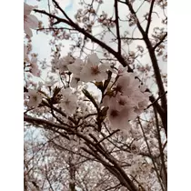 あ