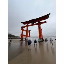 香川 ゆい