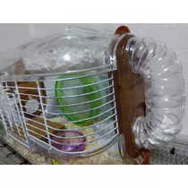 あやか