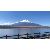 ちさ