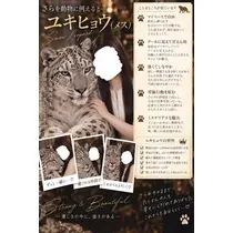 さら