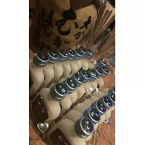 せりな