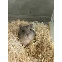ゆな