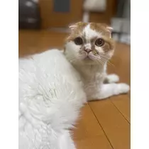 れみ