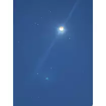 美咲 のばら