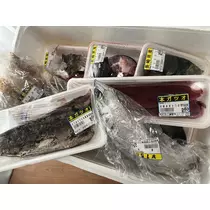 カレン