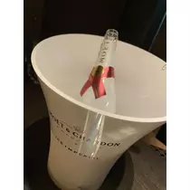 白石 愛莉