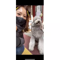 諸星 海