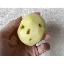七星 夏純