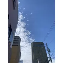 もも