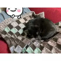 えり