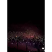 かほ