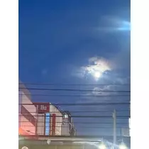 ゆきの