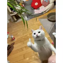 はるせ