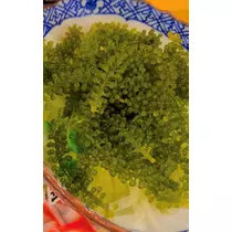 柊 まりん