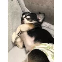 片桐 さやか