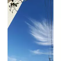 エミ （スタッフ）