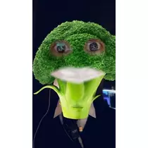 白石 愛莉