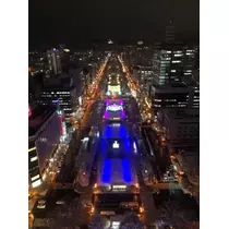 宝條 夏恋