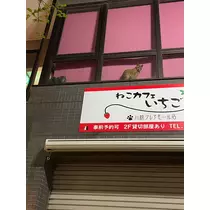 きき