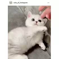 ゆうり